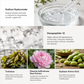 AgeRenew™ — Targeted Care for Fine Lines & Wrinkles.